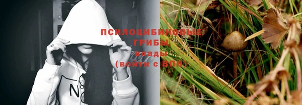 марки nbome Богородицк